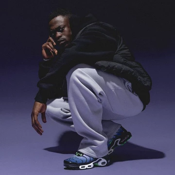 Nike Air Max 1 Plus Icons