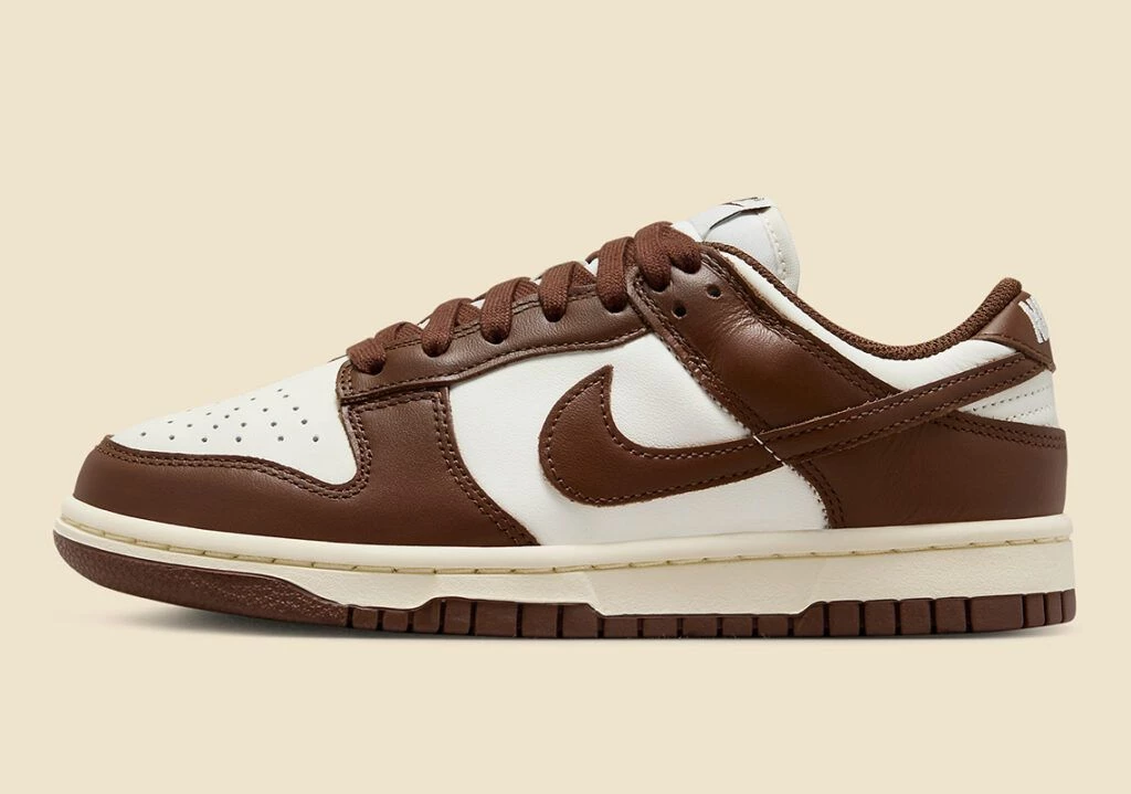 Dunk Low Brown Sail DD1503-124 | Dead Stock