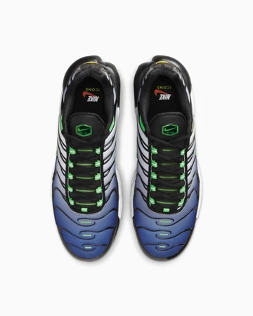 Nike Air Max 1 Plus Icons