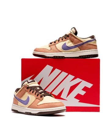 Nike Dunk Low Denim Dusted Clay Paar und Schuhkarton