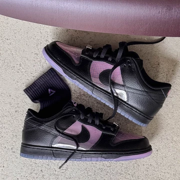 Dunk Low Retro Pink Rise Mood