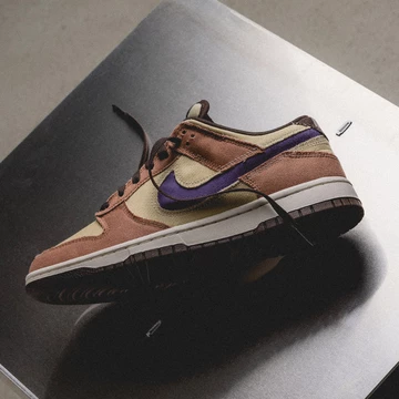 Nike Dunk Low Denim Dusted Clay Mood