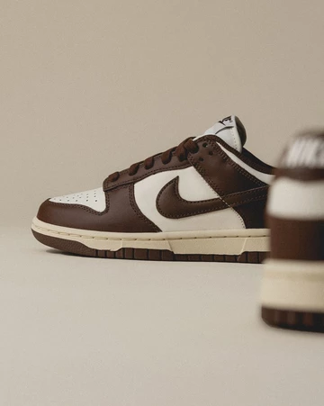 Dunk Low Brown Sail