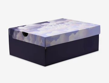 Jordan 5 Low Dongdan - Karton