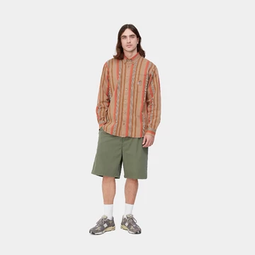 Carhartt Shorts Lookbook 12