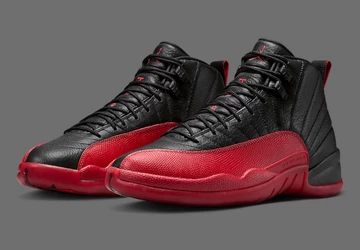 Jordan 12 Flu Game Paar