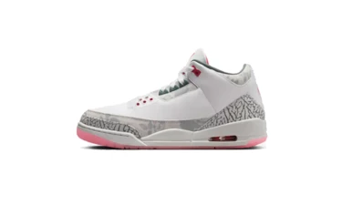 Jordan 3 Wings