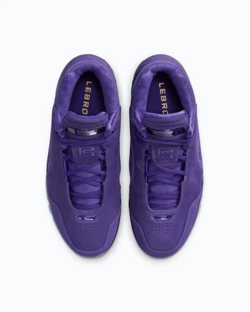 LeBron Nike Air Zoom Generation Court Purple von Oben