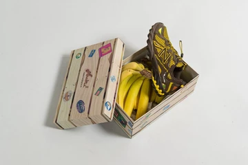 Aminé New Balance 610 Mooz