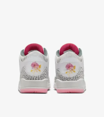 Jordan 3 Wings Ferse