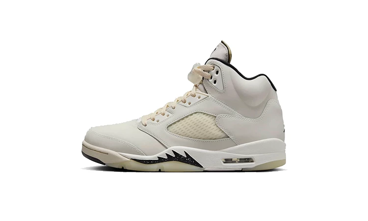 Jordan 5 SE Sail