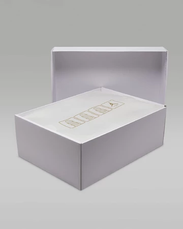 Jordan 4 NET White Box mit extra Deckel