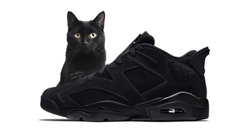 Air Jordan 6 Low Blackout