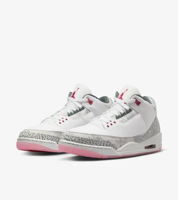 Jordan 3 Wings Paar im Profil