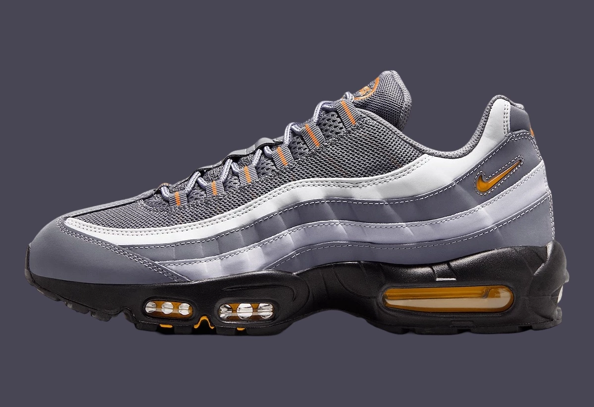 Nike Air Max 95 Grey Sundial HV6062-002 | Dead Stock
