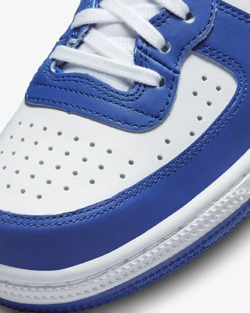 Nike Terminator High Game Royal Detail Toebox