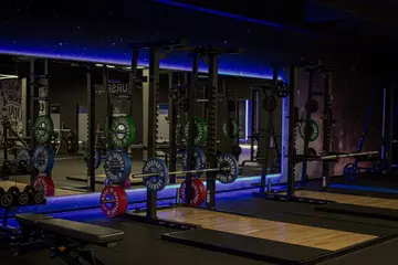 I'm building my own gym - from Dead Stock to Era Gym