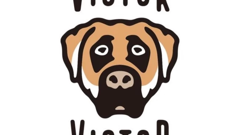 Victor Victor Air Force 1 - First Look 