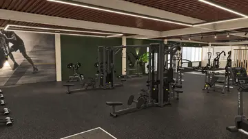 I'm building my own gym - from Dead Stock to Era Gym