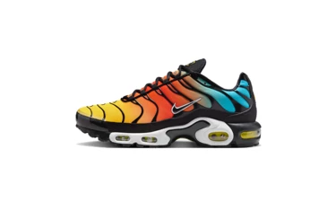 Air Max Plus Tropical Gradient