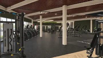 I'm building my own gym - from Dead Stock to Era Gym