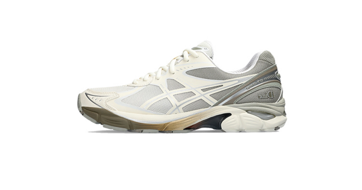 DIME ASICS GT-2160 Arctic Wolf 1201A887-100 | Dead Stock