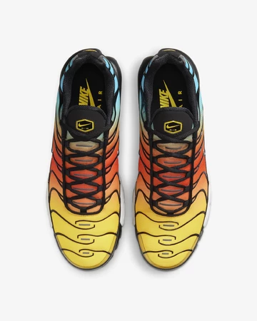 Air Max Plus Tropical Gradient Paar von oben