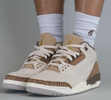 Jordan 3 Palomino On Feet