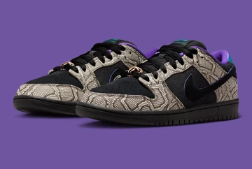 SB Dunk Low Copperhead - Kollabo mit Dashawn Jordan