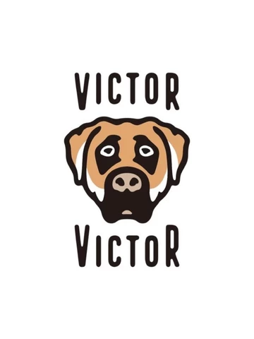Victor Victor Air Force 1 - First Look
