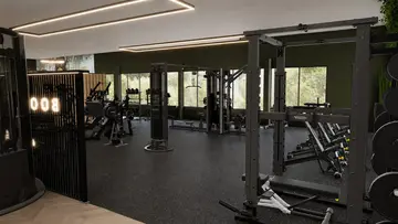 I'm building my own gym - from Dead Stock to Era Gym