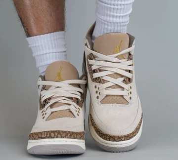 Jordan 3 Palomino On Feet Motion