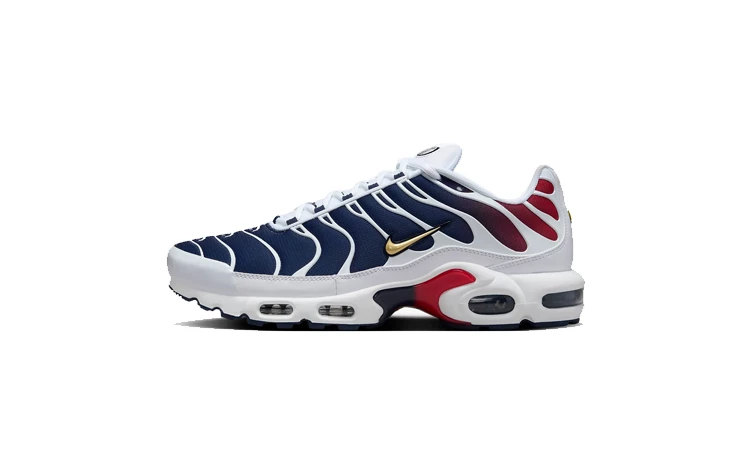 Nike Air Max Plus PSG