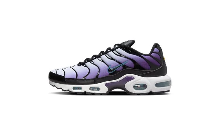 Air max plus purple and blue online