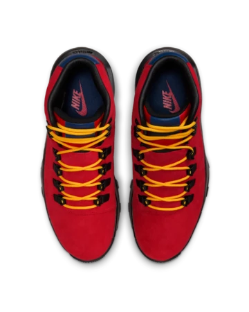 Nike Cygnal University Red Paar von oben