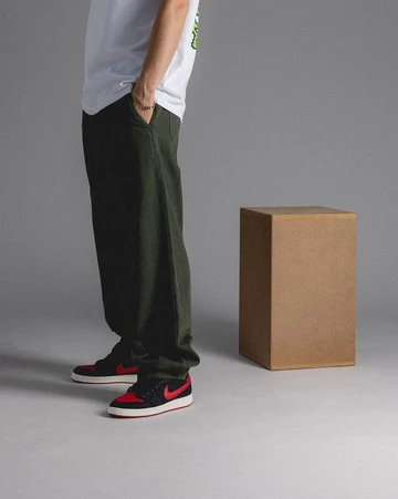 Jordan 1 AJKO Low Bred on feet