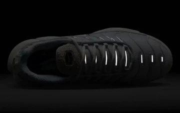 Nike Air Max Plus Pure Platinum von Oben Dark