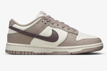 Dunk Low Diffused Taupe Außenseite