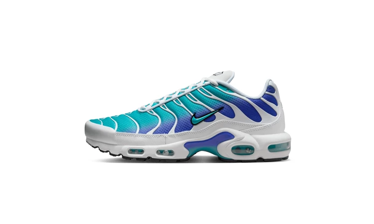 Nike Air Max Plus Aqua Dead Stock