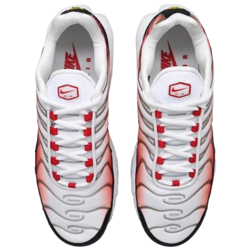 Nike Air Max Plus Gym Red Paar von oben