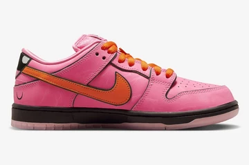 The Powerpuff Girls Nike SB Dunk Low Blossom