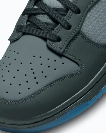 Dunk Low Anthracite Detail Toebox