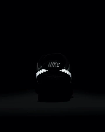 Dunk Low Anthracite Dark von Hinten