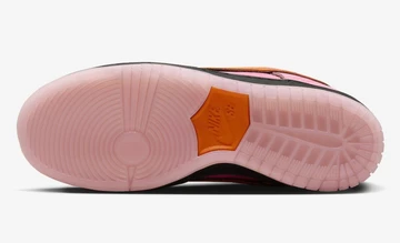 The Powerpuff Girls Nike SB Dunk Low Blossom