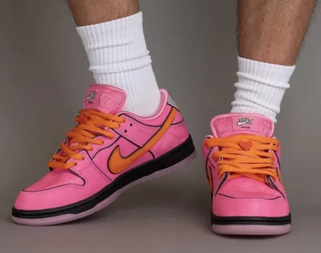 The Powerpuff Girls Nike SB Dunk Low Blossom on-feet