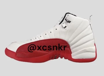 Jordan 12 Cherry Leak Bilder außen