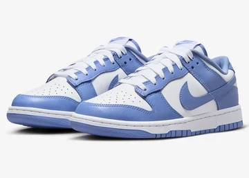 Dunk Low Polar Blue Paar