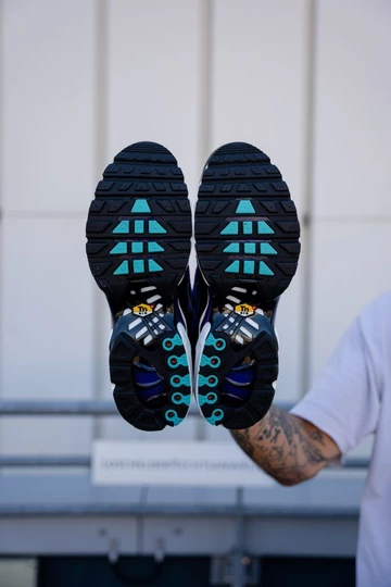 Air Max Plus Reverse Grape - Sohle