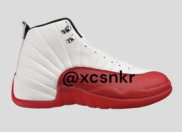 Jordan 12 Cherry Leak Bilder innen