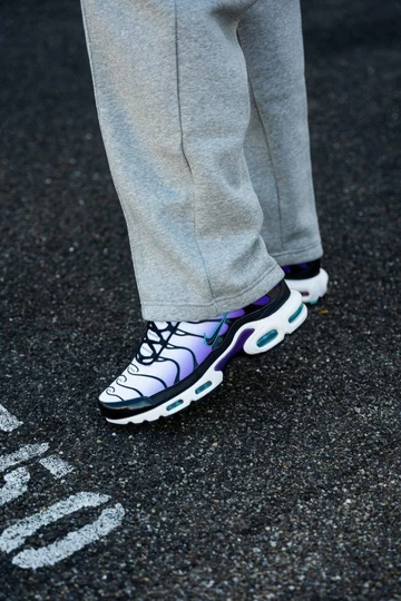 Air Max Plus Reverse Grape - on feet
